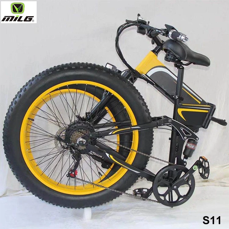 Lightest Foldable Ebike high quality