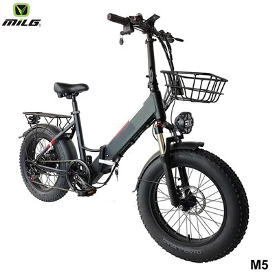 Populær 750W foldning elektrisk cykel